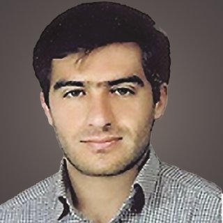 Mehdi Shahgolzari