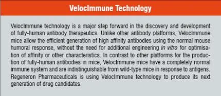 VelocImmune Technology