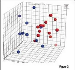 fragmentation to generate the amino acid