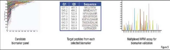 The creation at Caprion of a multiplexed Multiple Reaction Monitoring (MRM) assay