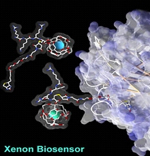 Xenon Biosensor