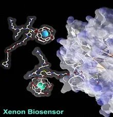 Xenon Biosensor