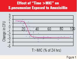 effects of S.pneumoniae exposed to amoxicillin