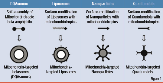 Mitochondria-specific 