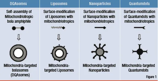 Mitochondria-specific