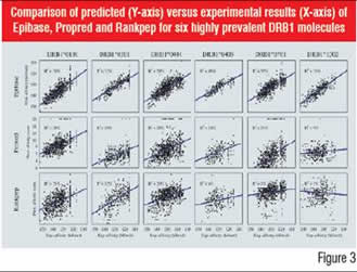 Comparison of predicted (Y-axis) versus experimental results (X-axis) of Epibase, Propred and Rankpep for six highly prevalent DRB1 molecules