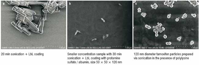 SEM images (Hitachi-2006) of LbL encapsulated drug nanoparticles (Paclitaxel)