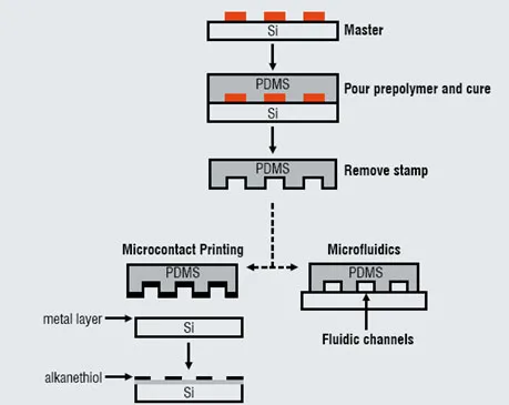 A schematic depiction of the formation of a PDMS stamp using a silicon (Si) master