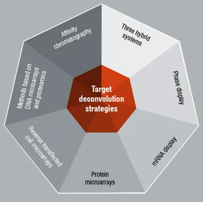 Target Deconvolution Strategies