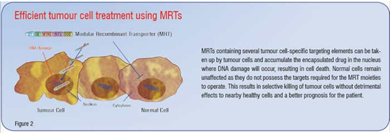 Efficient tumour cell treatment using MRTs