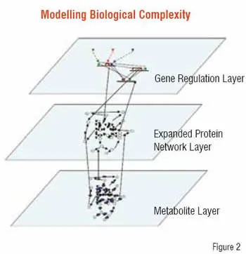 Modelling Biological Complexity