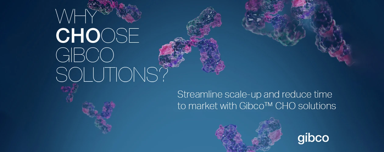 Why Choose Gibco Solutions