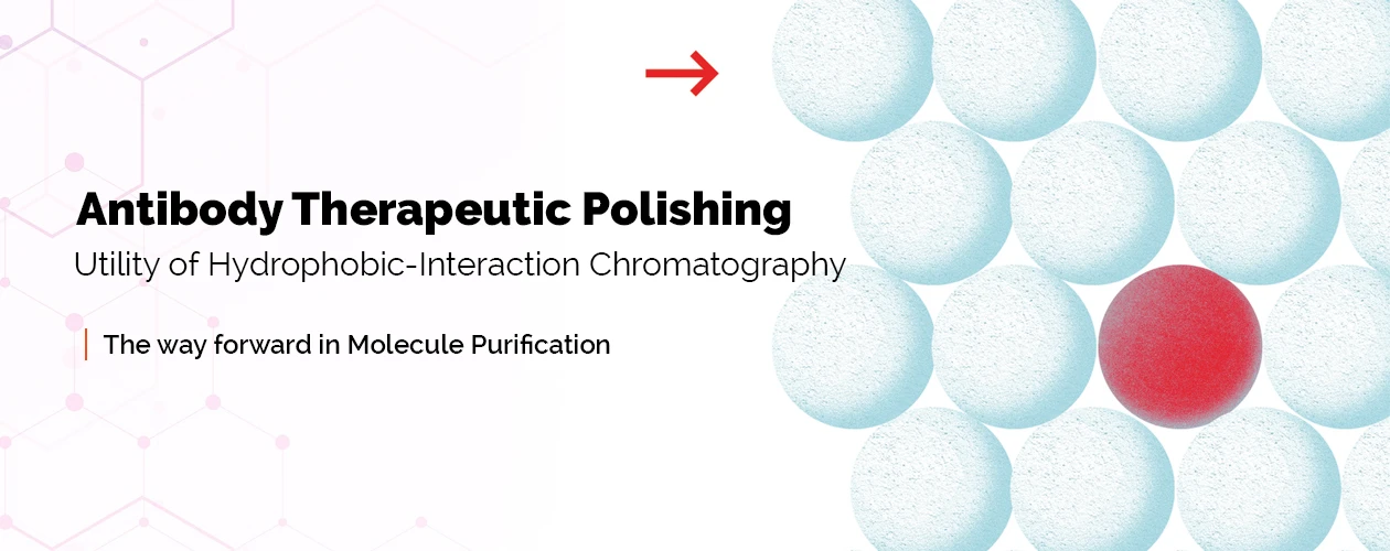 therapeutic-polishing-hic-banner