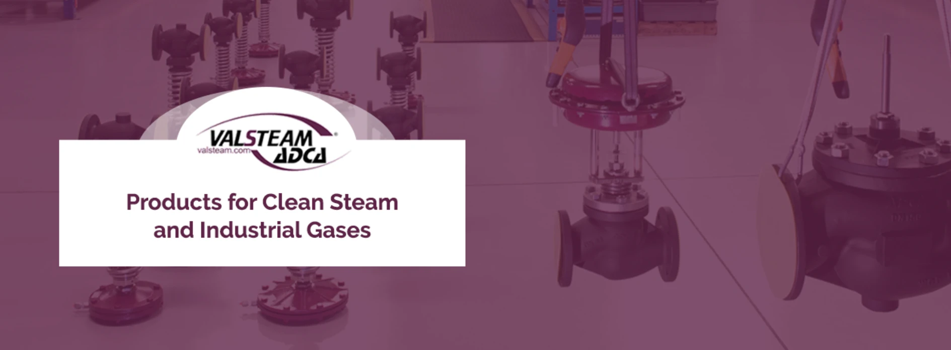 Valsteam