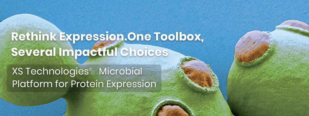 xs-technologies-for-protein-expression