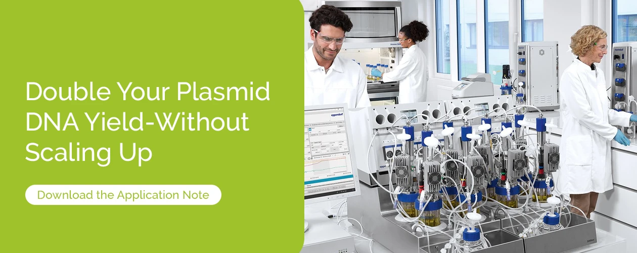 eppendorf-optimizing-plasmid-dna-fermentation-application-note