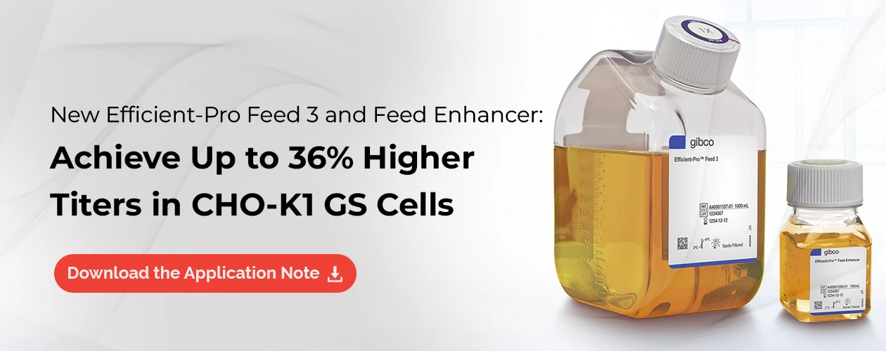 thermofisher-cho-k1-gs-performance-efficient-pro-feed-3-enhancer