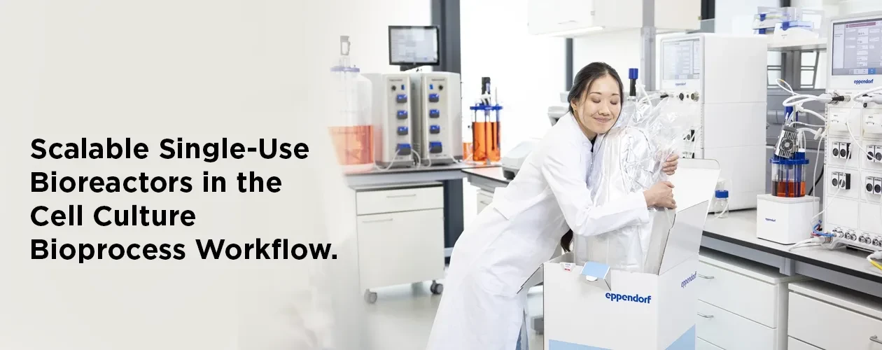 eppendorf-scalable-single-use-bioreactors-in-the-cell-culture-bioprocess-workflow-e-book-banner