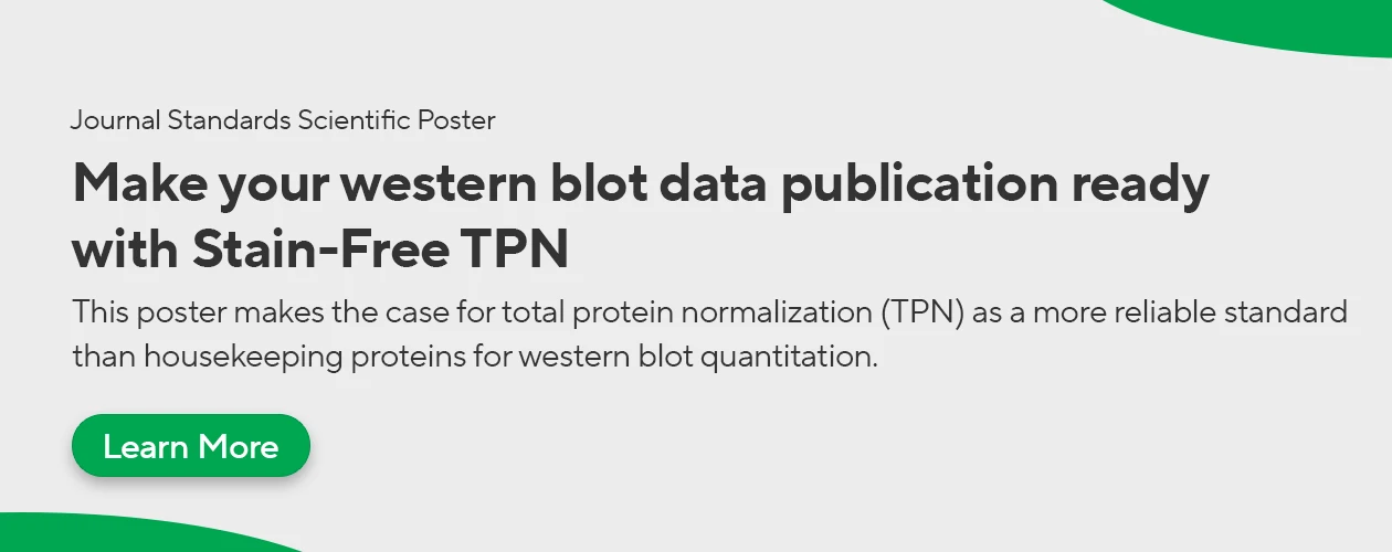 biorad-stain-free-total-protein-normalization-maintaining-data-integrity-for-western-blotting-workflows-banner