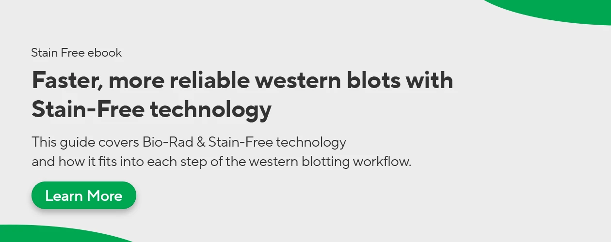 biorad-the-complete-guide-to-stain-free-western-blotting-banner