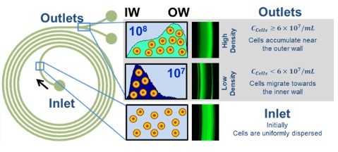 Clog-Free, Ultra-High-Density Perfusion Filter with Continuous Host Cell Protein (HCP) Removal