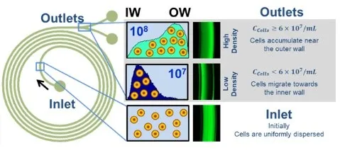Clog-Free, Ultra-High-Density Perfusion Filter with Continuous Host Cell Protein (HCP) Removal