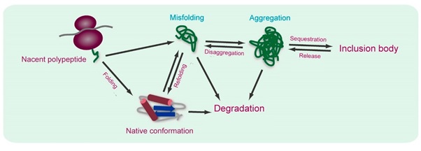 Degradation