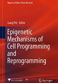 Epigenetic Mechanisms of Cell Programming and Reprogramming